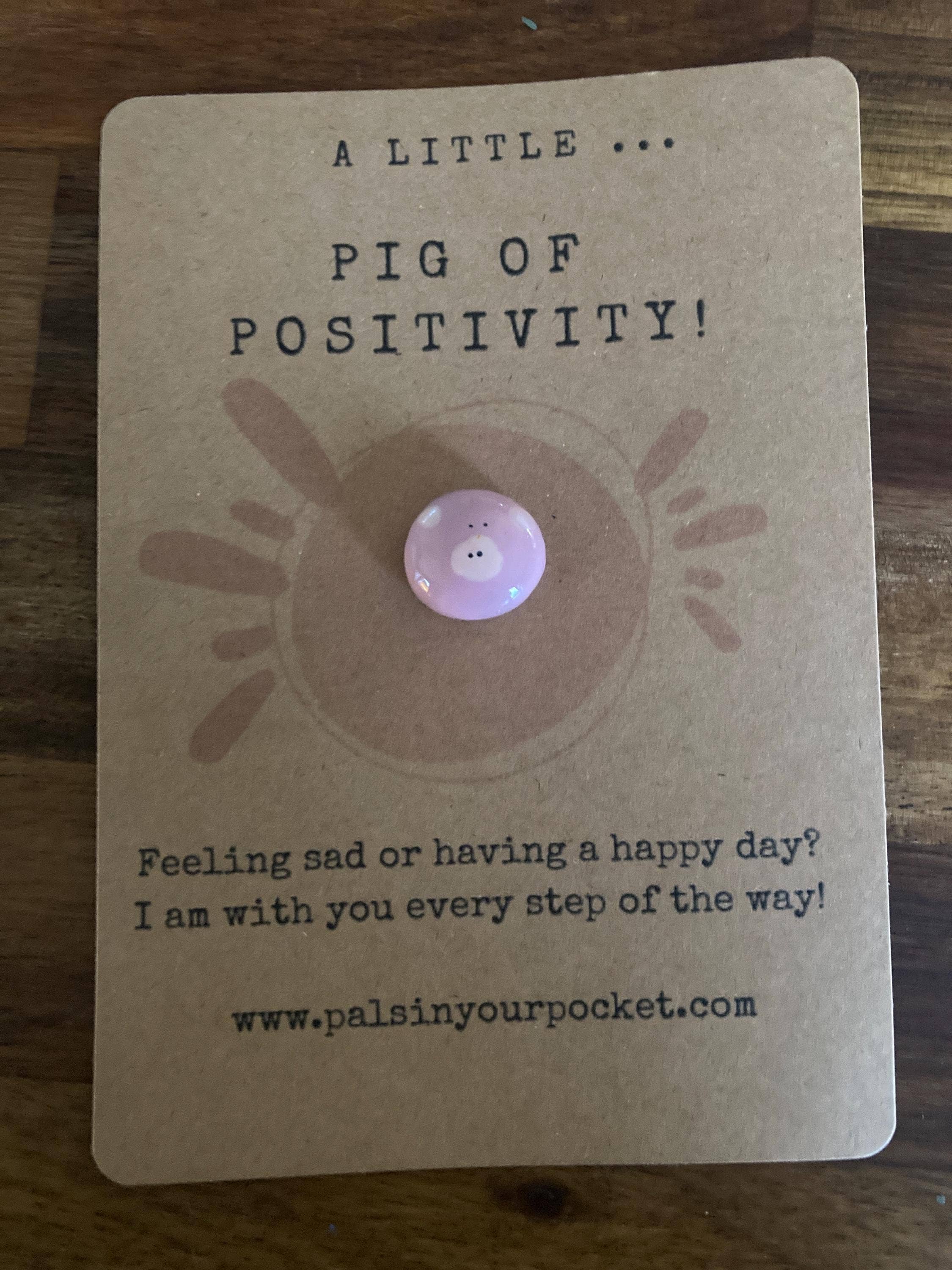 Positivity Pet Pocket Rock For Good Mental Health