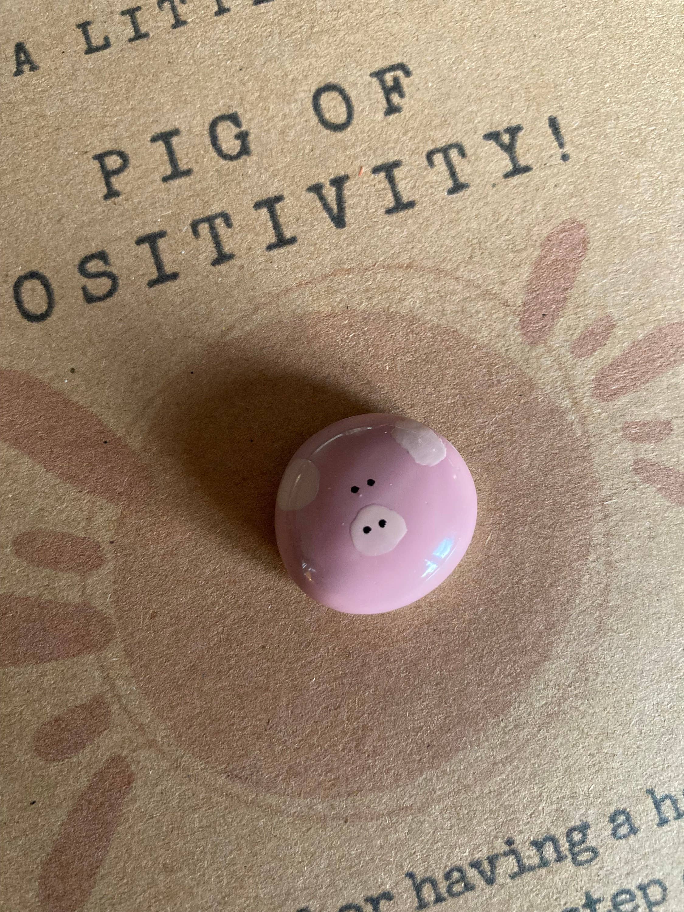 Positivity Pet Pocket Rock For Good Mental Health