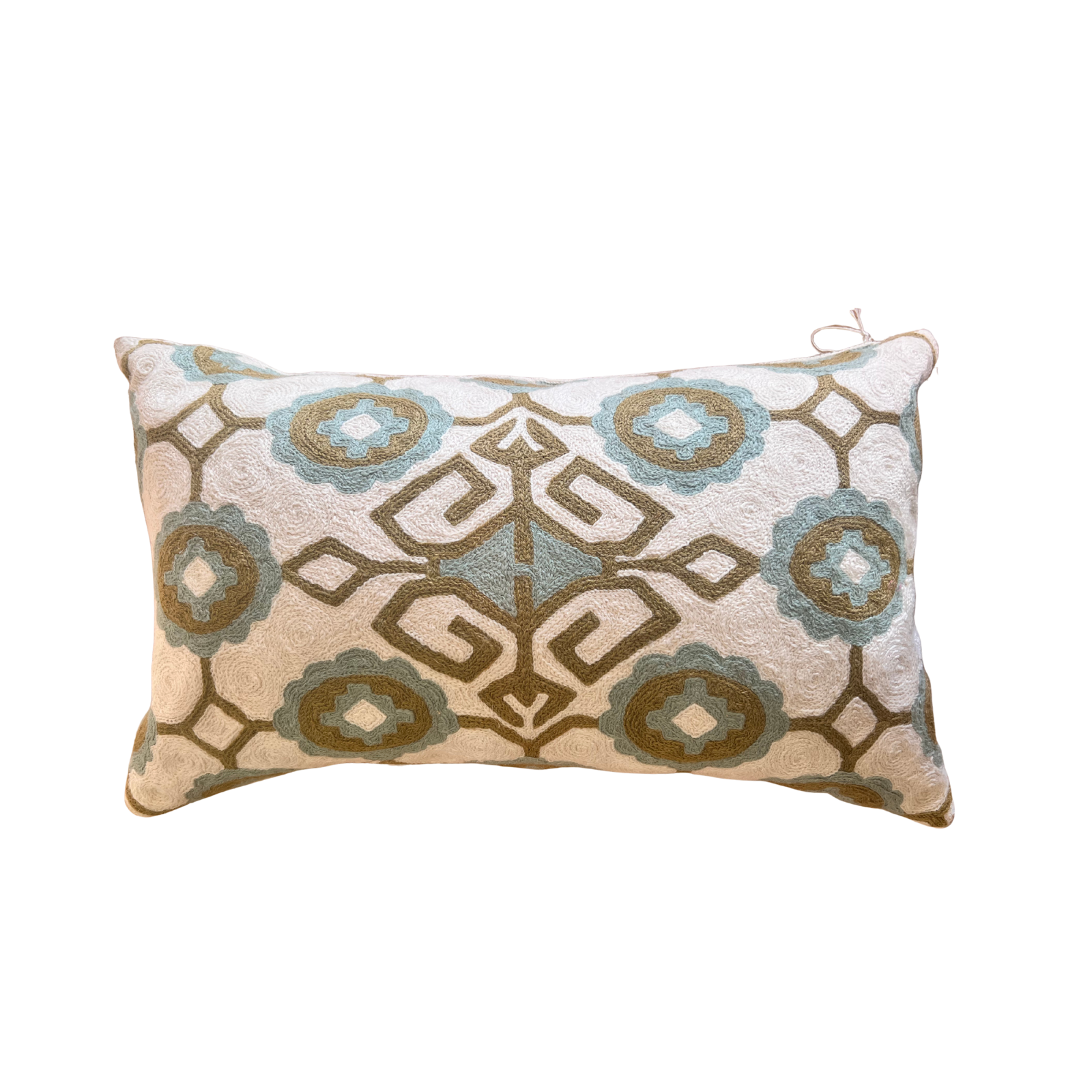 Embroidered Duck Egg Blue and Putty Green Cushion with Beige Velvet Back