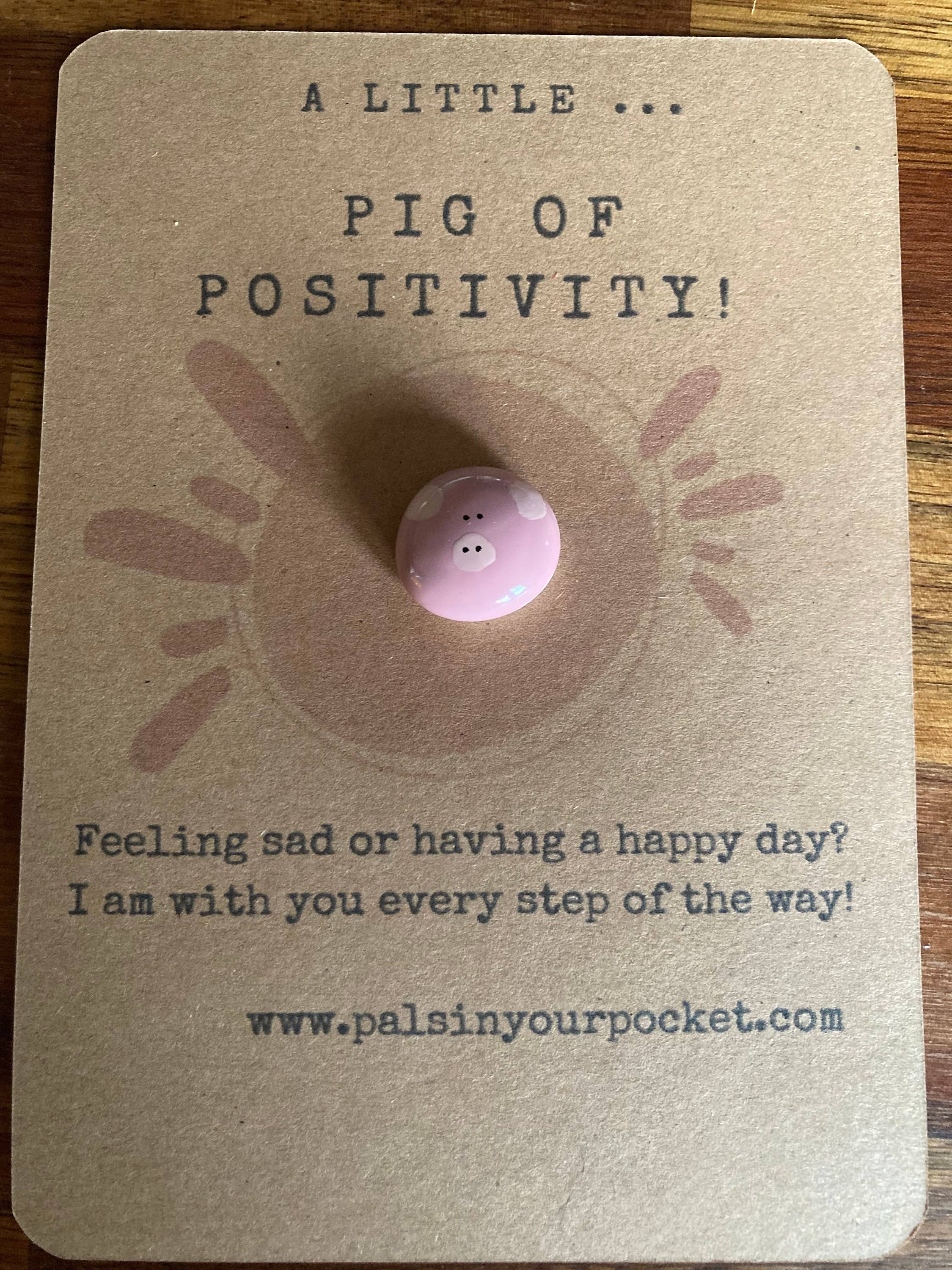 Positivity Pet Pocket Rock For Good Mental Health