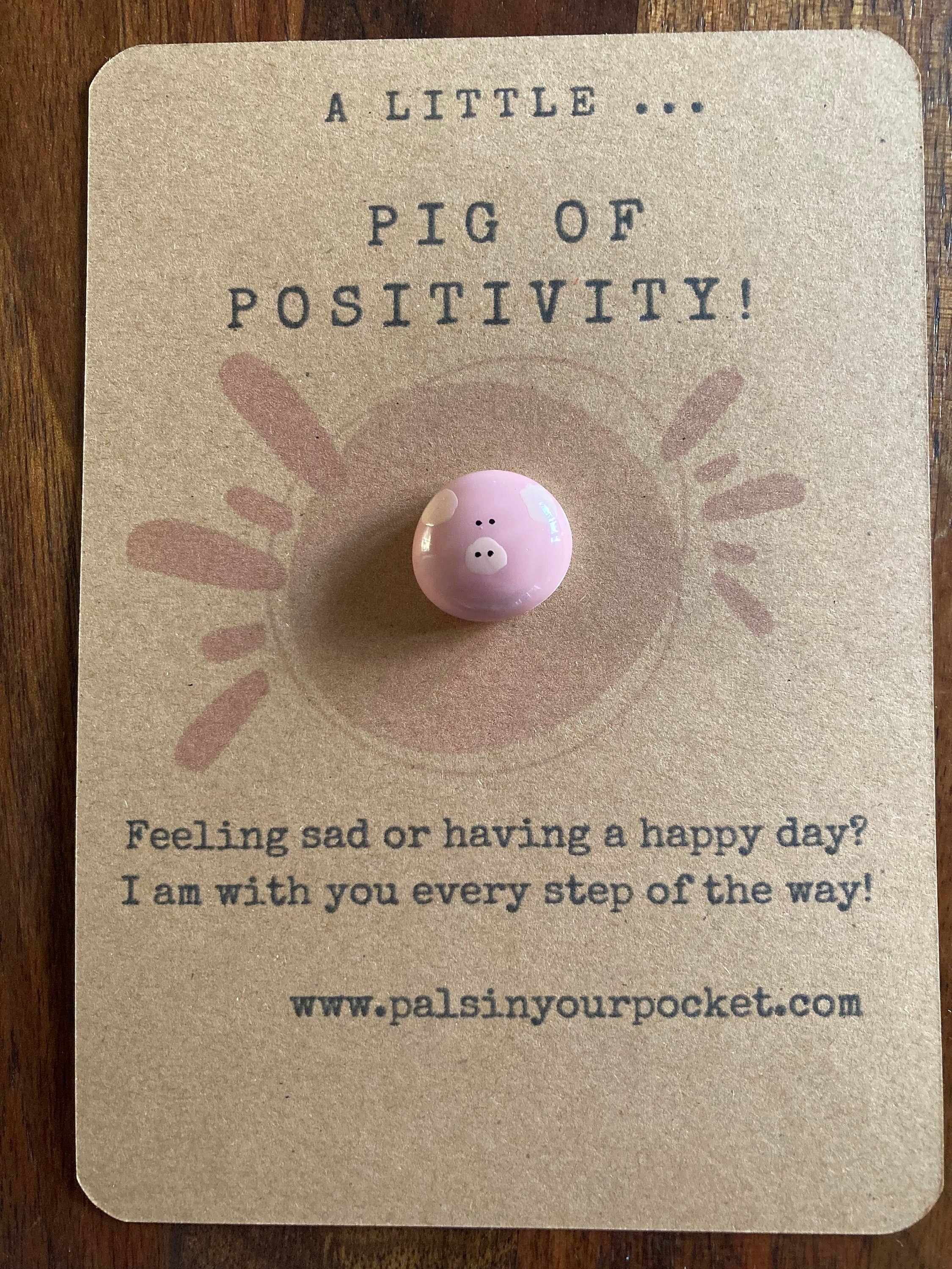 Positivity Pet Pocket Rock For Good Mental Health