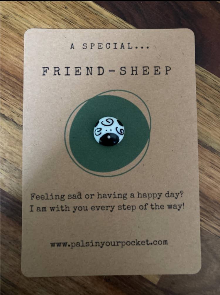 Friendship Pocket Hug Pebble With Inspirational Messages