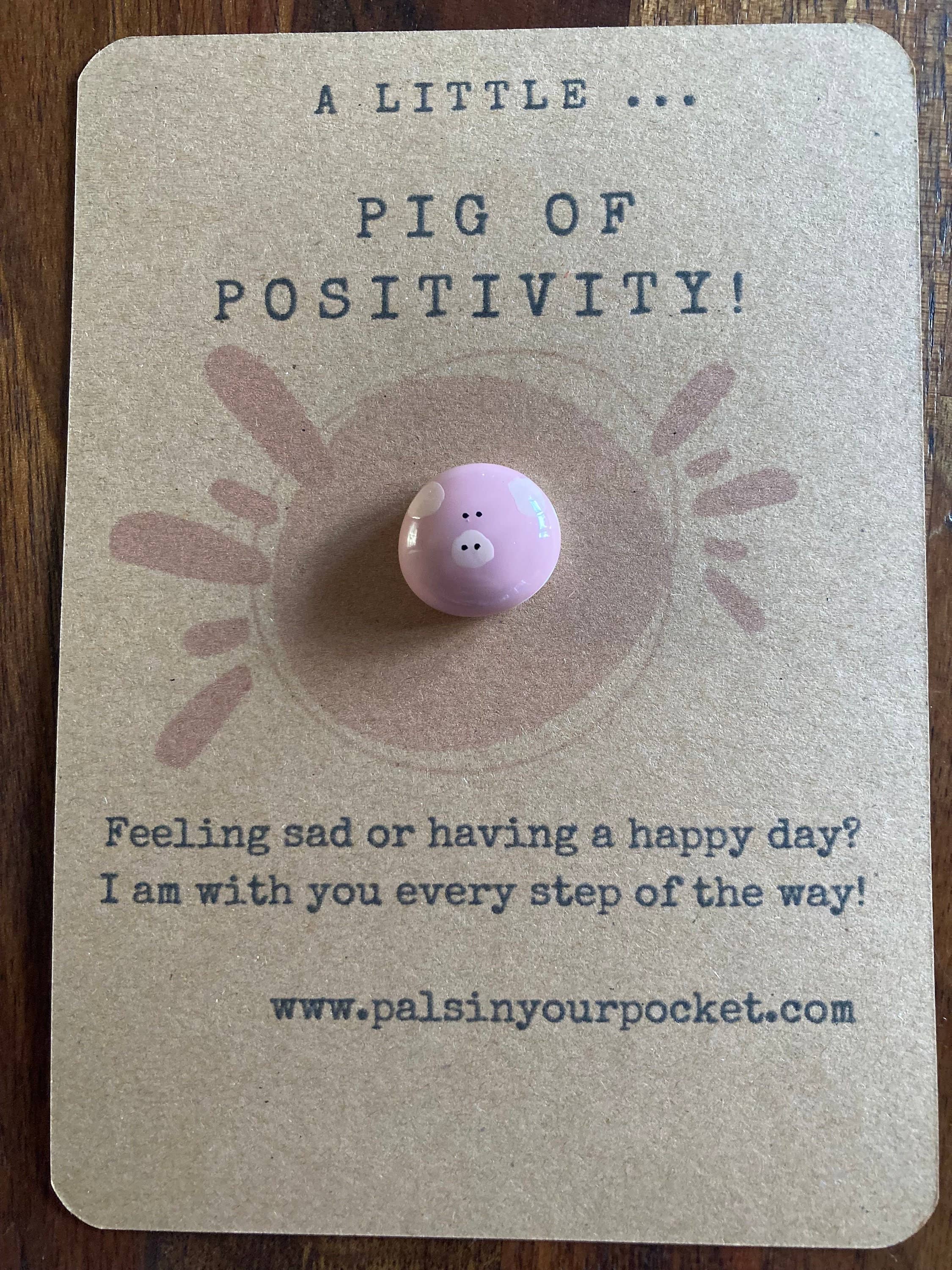 Positivity Pet Pocket Rock For Good Mental Health