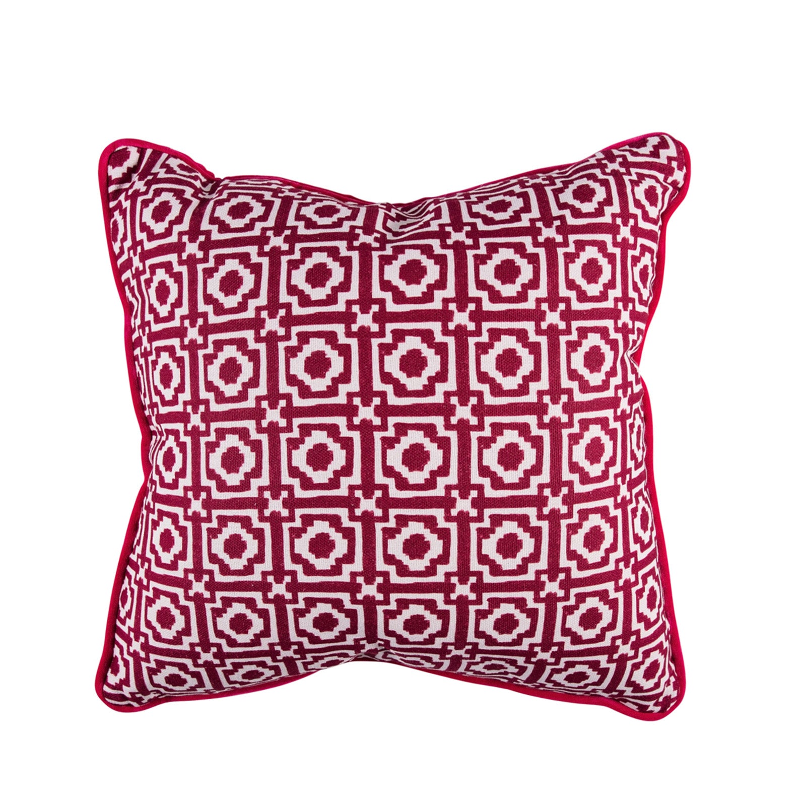 Alotablots Cushion in Raspberry with Raspberry velvet back and piping
