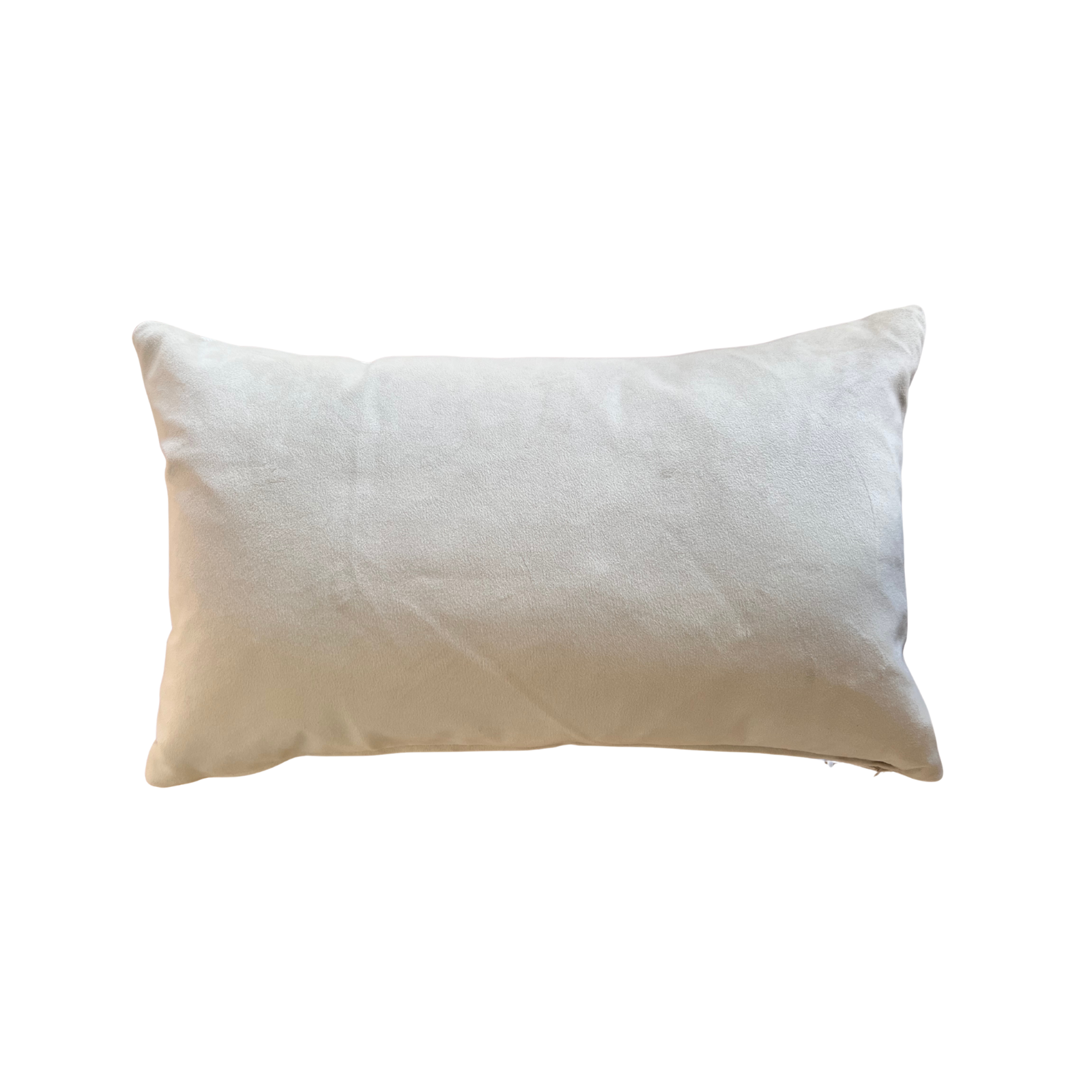 Embroidered Duck Egg Blue and Putty Green Cushion with Beige Velvet Back