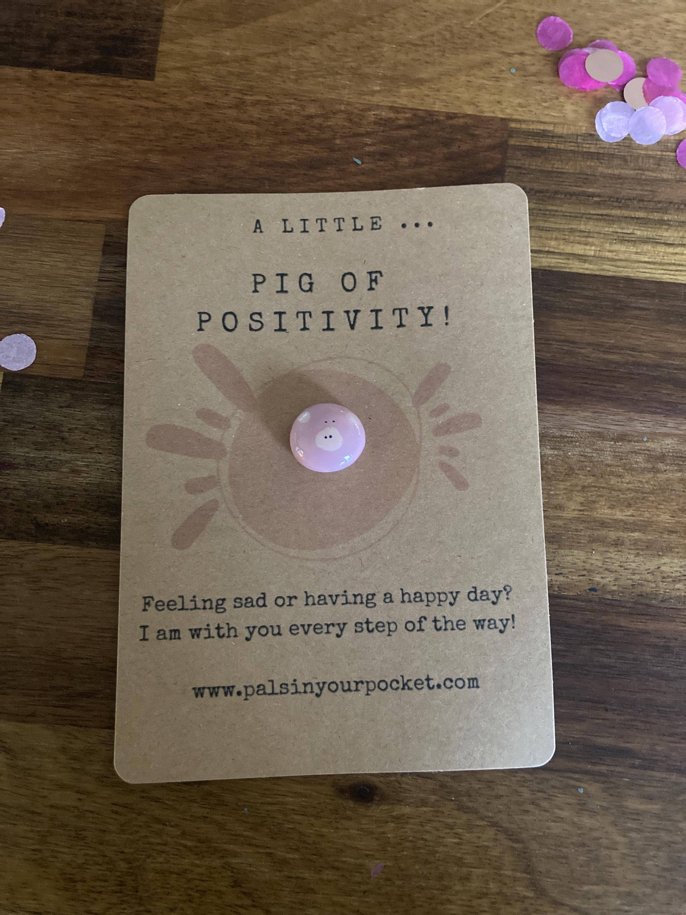 Positivity Pet Pocket Rock For Good Mental Health