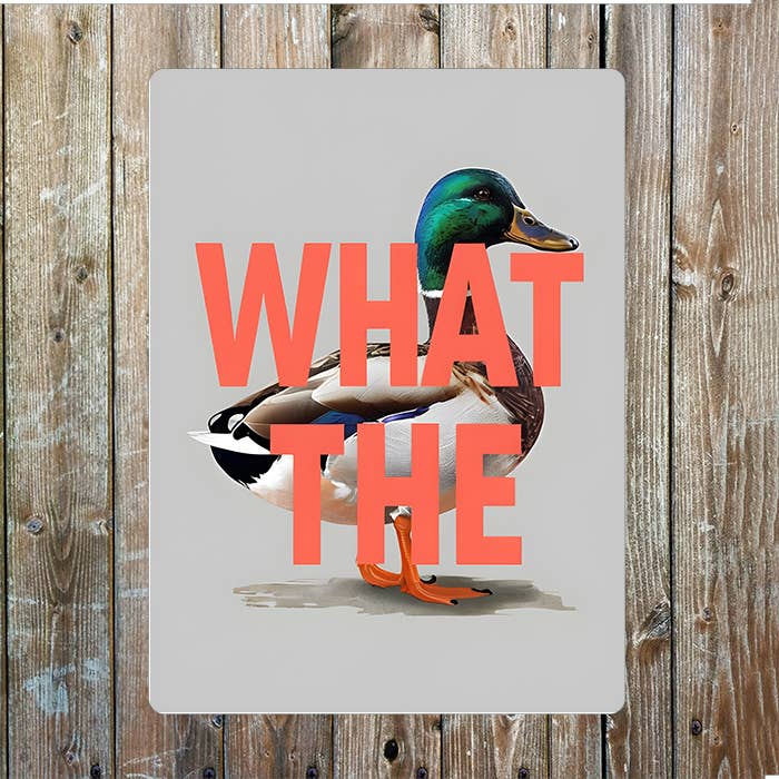 What The Duck Metal Sign Plaque: 8x10inch
