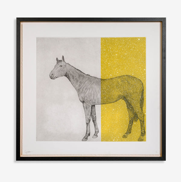 Horse Study with Kelling Designs Yellow