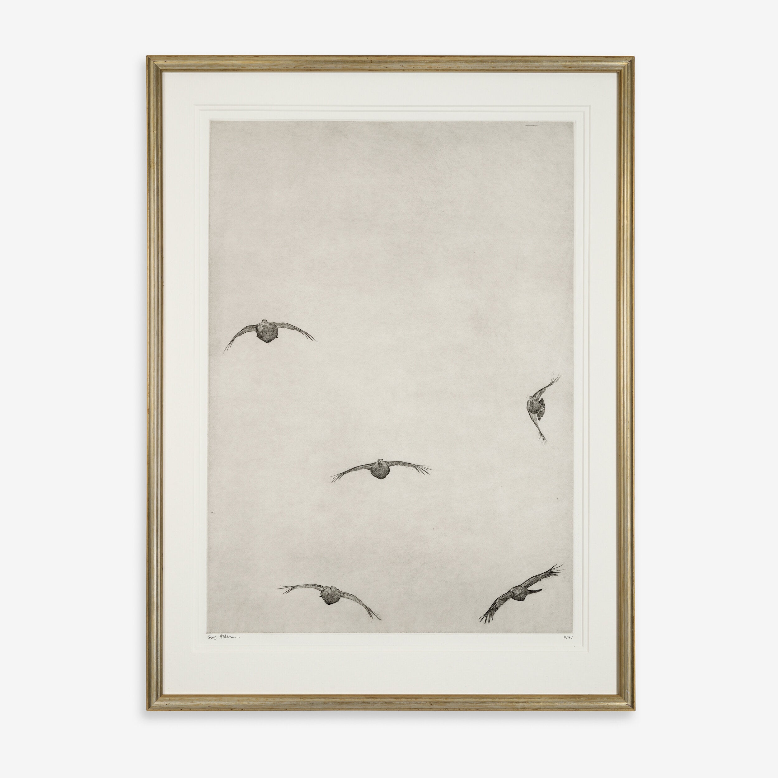 Covey of Grouse - as a pair
