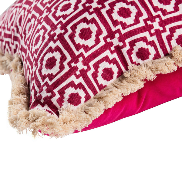 Alotablots cushion in Raspberry with Raspberry velvet back and cream fringe