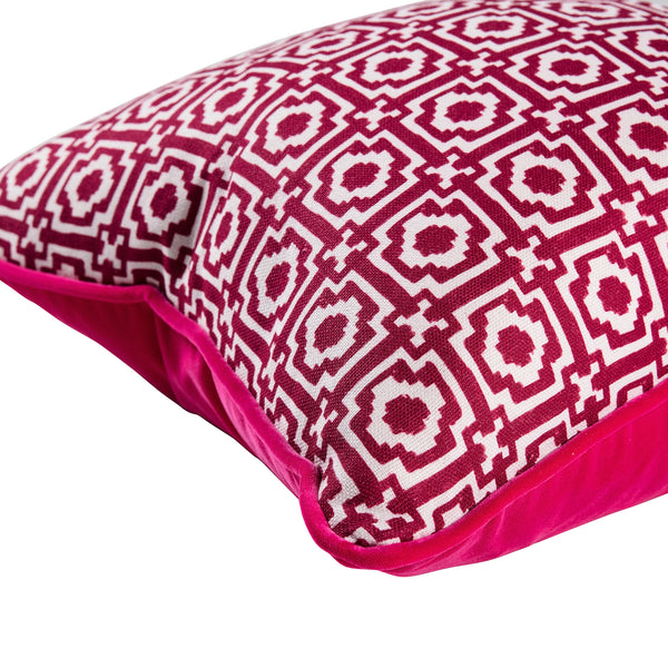 Alotablots Cushion in Raspberry with Raspberry velvet back and piping