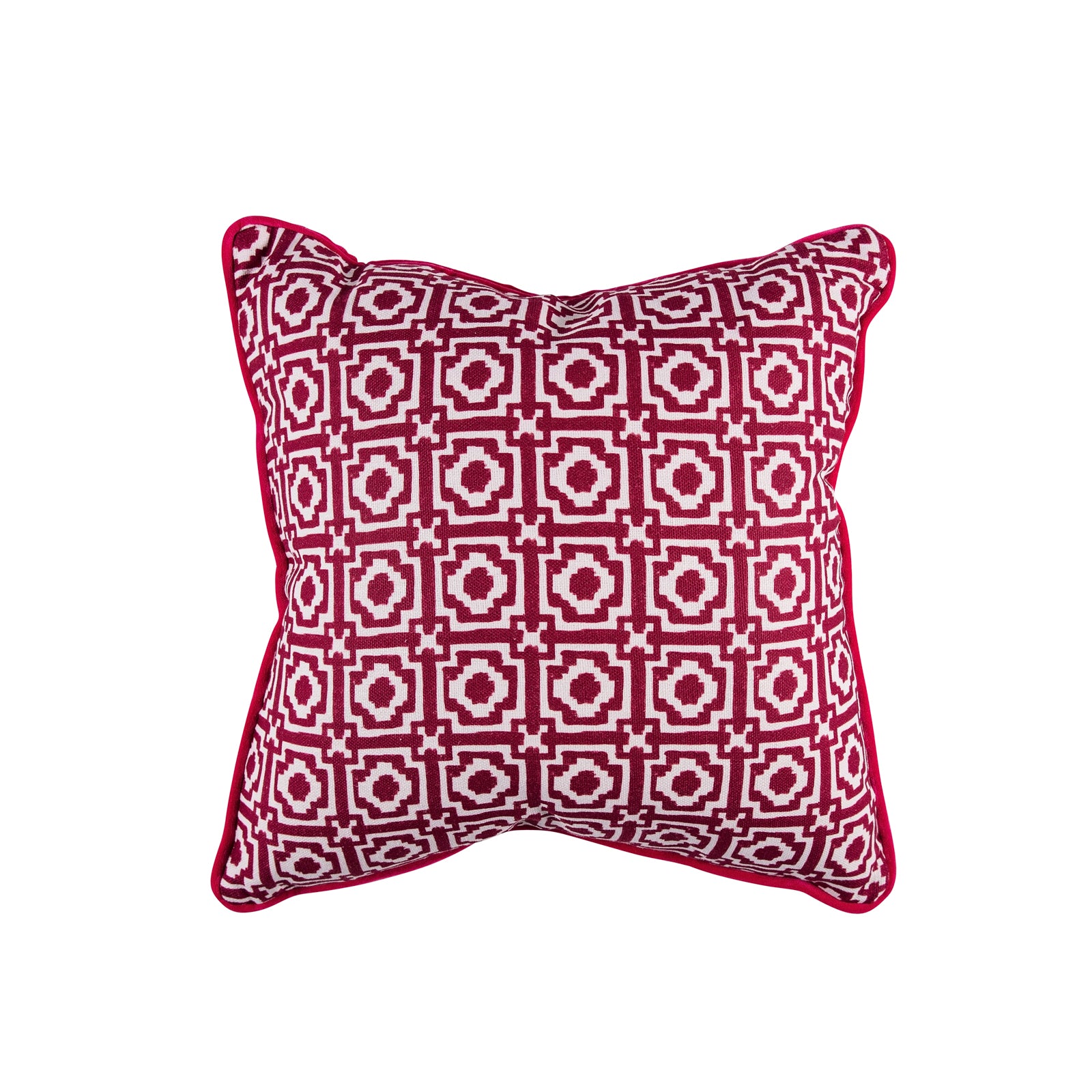 Alotablots Cushion in Raspberry with Raspberry velvet back and piping