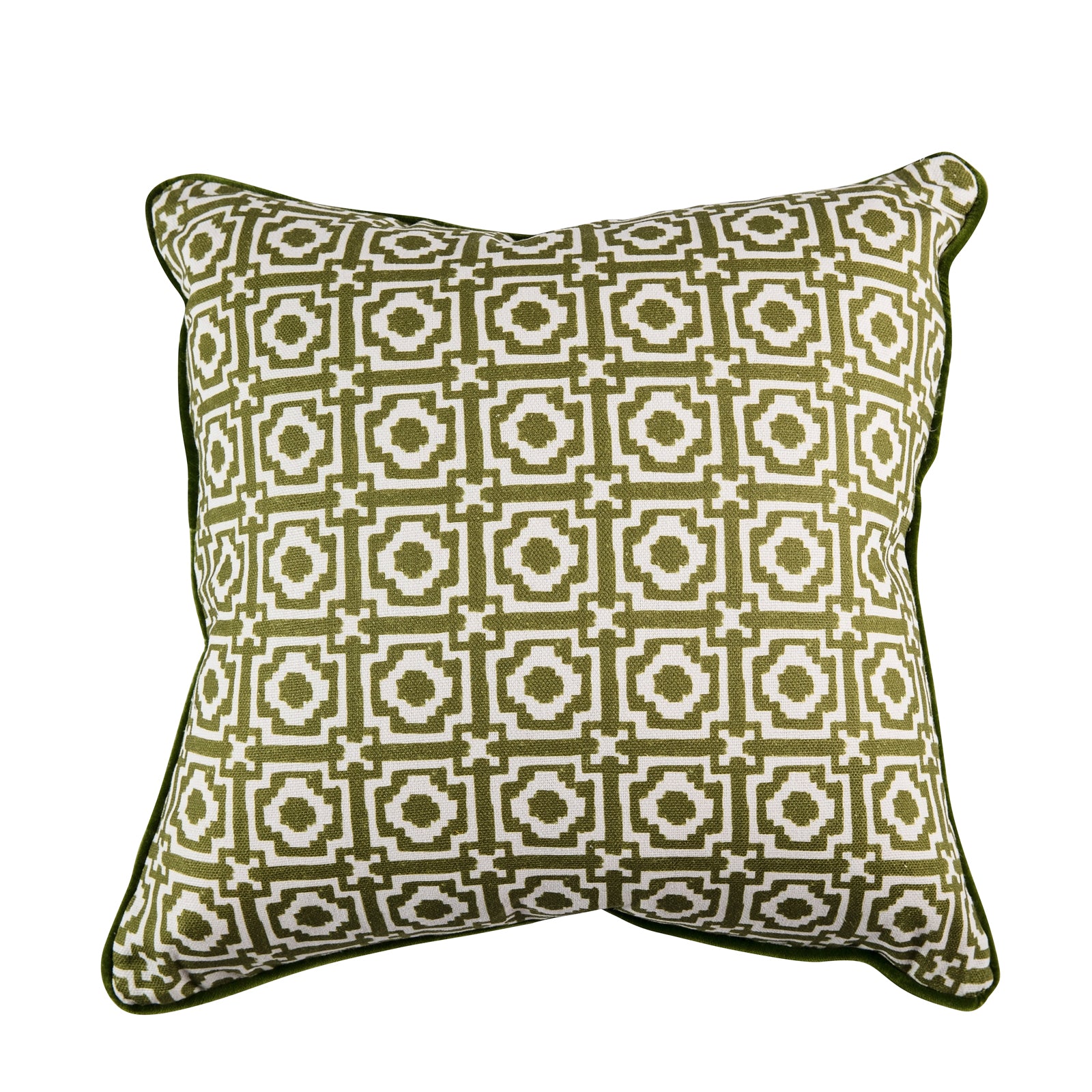 Alotablots Cushion in Peridot with Peridot velvet back and piping